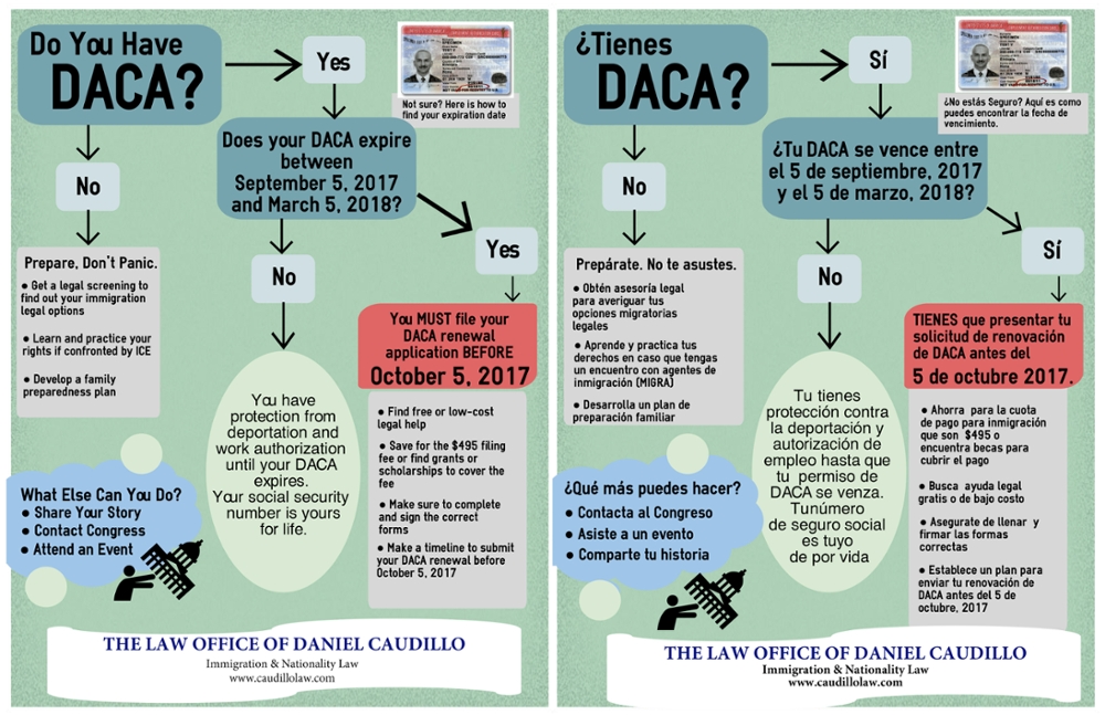 DC Law DACA Renewal Infographic
